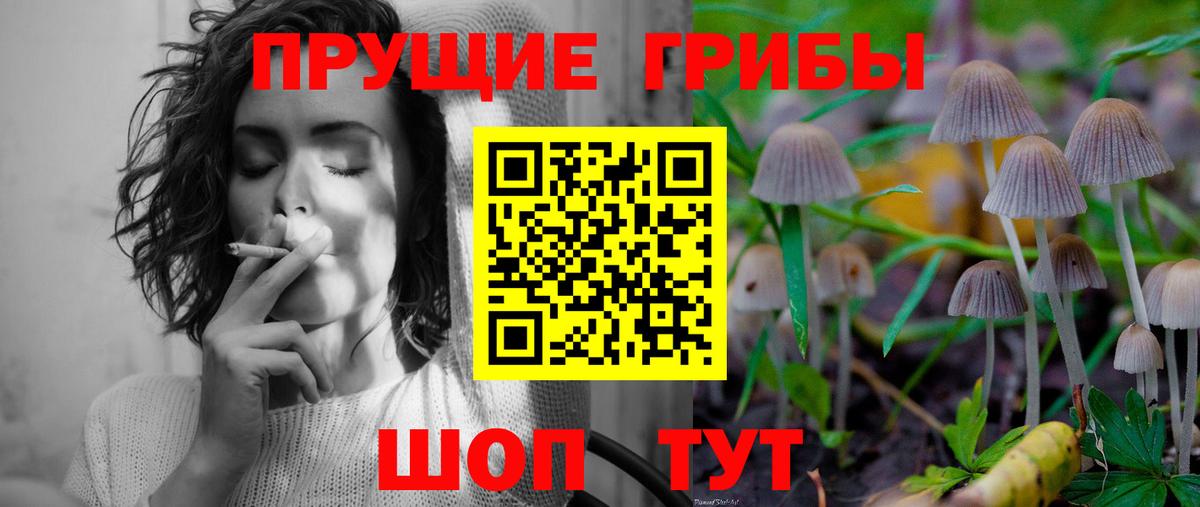 Псилоцибиновые грибы GOLDEN TEACHER Каспийск
