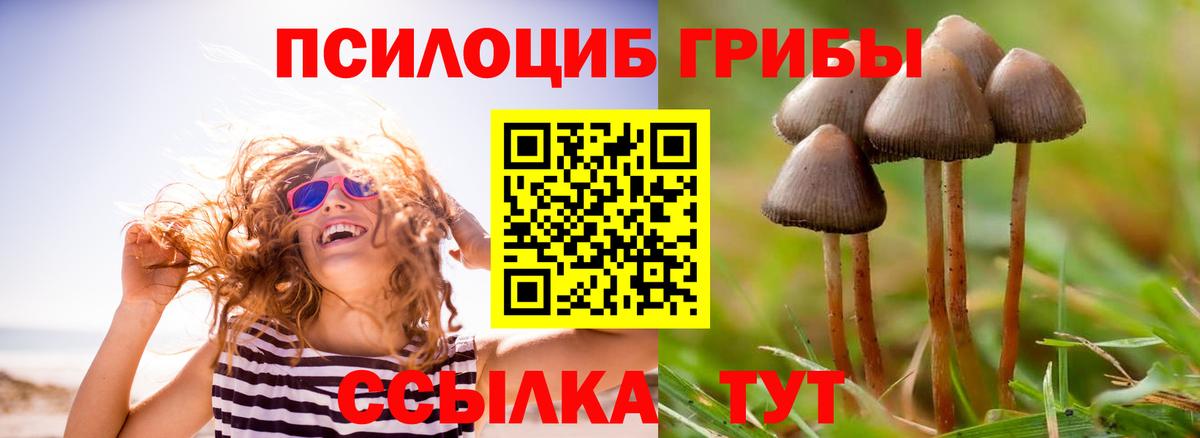 Галлюциногенные грибы GOLDEN TEACHER  где найти наркотики  Каспийск  Вход с VPN 